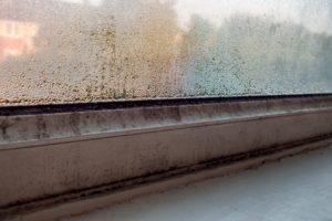 safeguard-yougov-damp-survey-september-2016-condensation