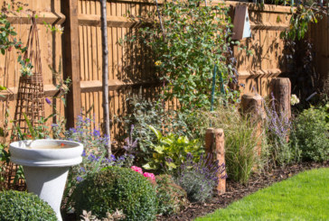 David Wilson Homes offer top tips for Spring gardens
