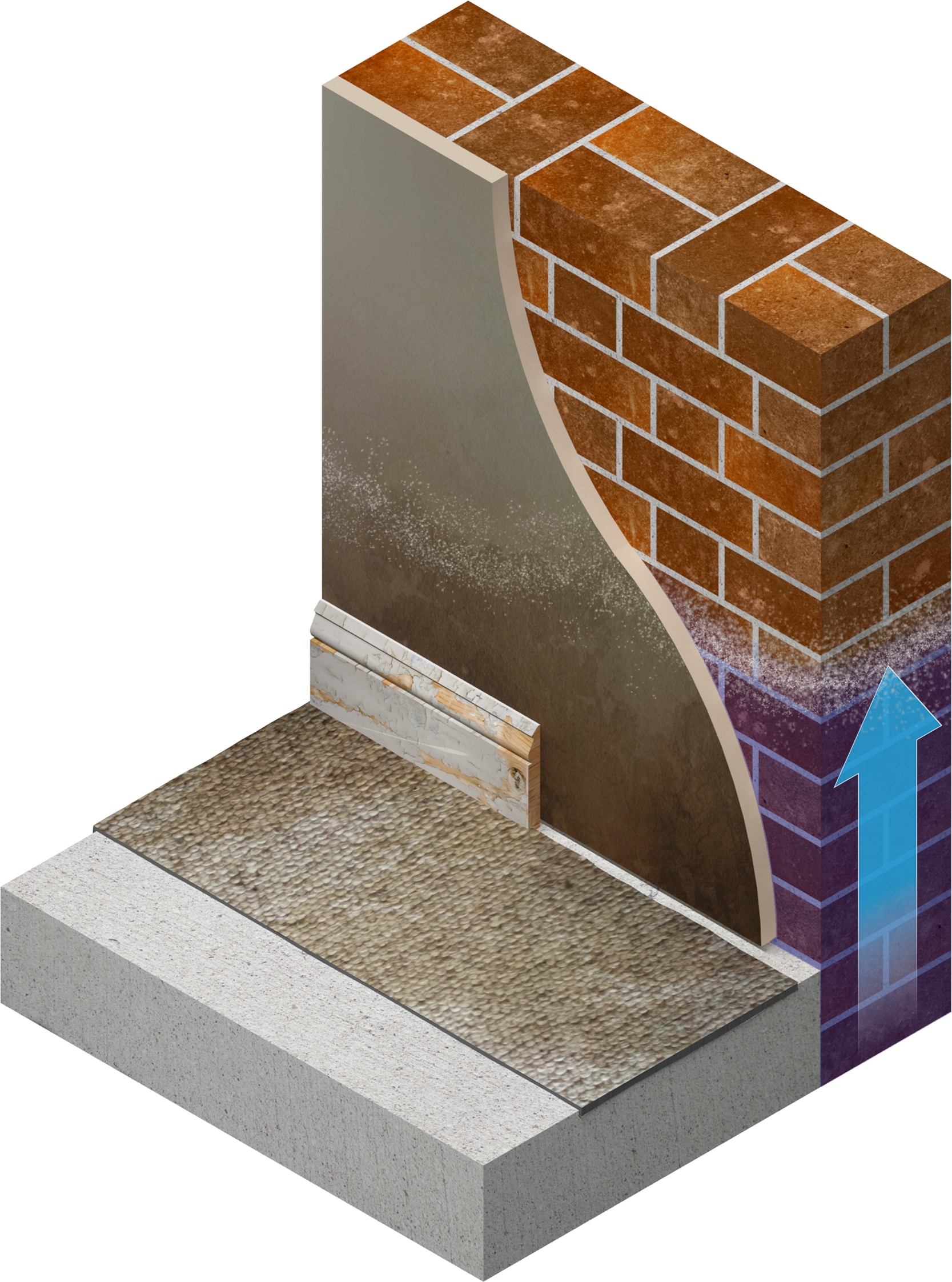 New Safeguard CPDs for damp prevention