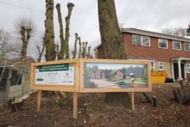 New bungalows to be built by Mallard Homes