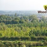 Woodfest arrives in the Midlands