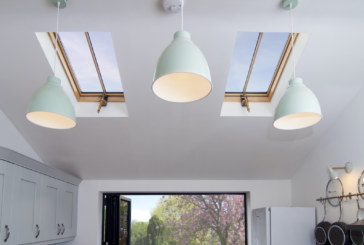 Stella Rooflight | The elephant in the roof