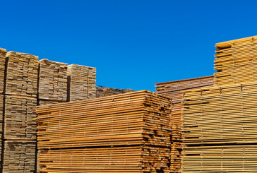 Timber & Joinery Products drive February sales growth