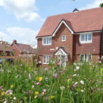 The housebuilding industry can lead the way on biodiversity