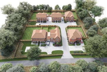 Metis Homes undertakes grassland translocation works in conjunction with Hampshire’s Havant Borough Council