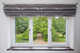 Window on the future