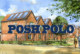 Partnering with posh polo