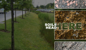With SuDS and SuDS soils standing out as key elements. Jason Lock, business development manager at Boughton, explains. 