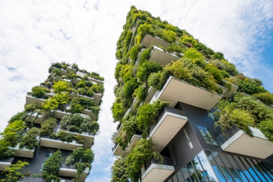 Construction Hailed 2024’s Rising “Nature Positive” Industry