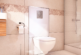 Saniflo Saniwall Pro