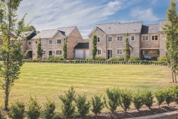 Timber: The critical path to Britain’s net zero and housing revolution
