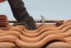 Roof tiles: clay vs concrete