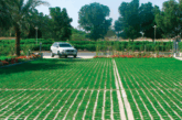 The key to sustainable practices
