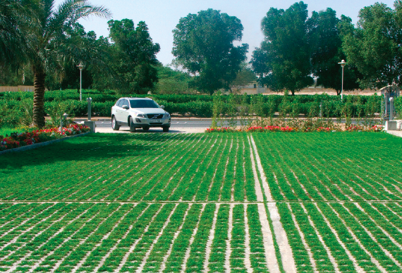 The key to sustainable practices