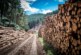 Why a circular economy is key to sustainable construction