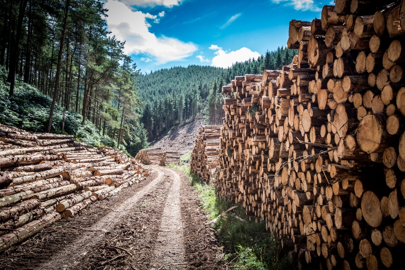 Why a circular economy is key to sustainable construction