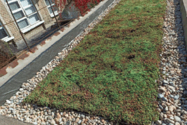 Four essential benefits blue roofs provide