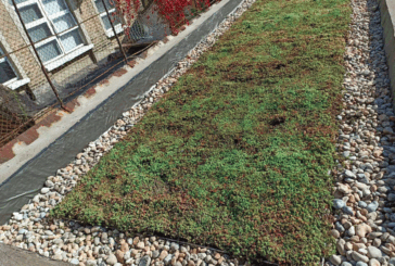 Four essential benefits blue roofs provide