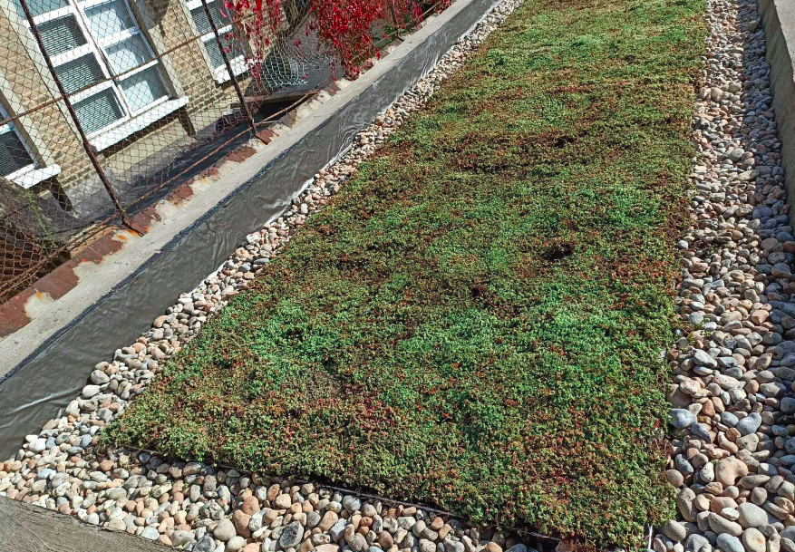 Four essential benefits blue roofs provide